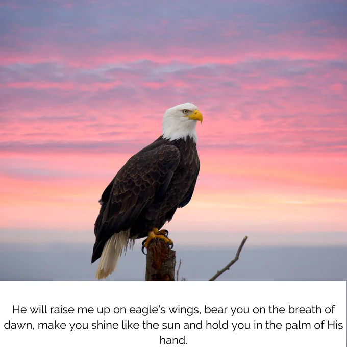 He will raise me up on eagle’s wings, bear you on the breath of dawn, make you shine like the sun and hold you in the palm of His hand.
