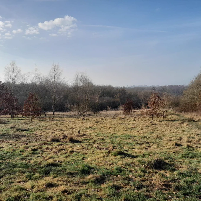 Bateswood reserve (c) Nat Hollamby