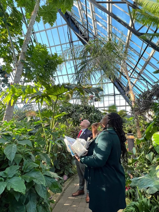 Minister Boissonnault and I looking up the Carica papaya Tree  (common names Papaya, Paw Paw) to see the Papaya fruits while we shared facts on the delicious tropical fruit! 