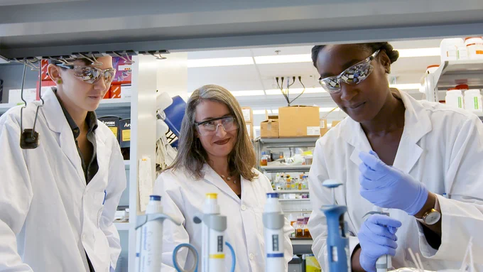 Leah Cowen, centre, U of T's vice-president, research and innovation, and strategic initiatives with two other researchers in the lab