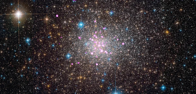 A close-up image toward the center of Terzan 5 in X-ray and optical light. The entire image glitters with stars of various sizes in shades of gold, blue, and white. The highest concentration of stars is in the center of the image, where pink X-ray sources are also clustered. At our upper left is a giant foreground star, with prominent diffraction spikes extending outward from the source.