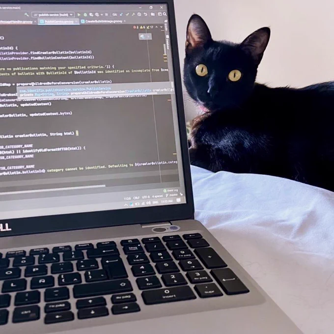 Dell laptop on top of bed, my cat Coco in the back