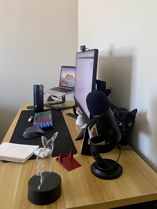 My current setup in NY, Coco in the back of the monitor