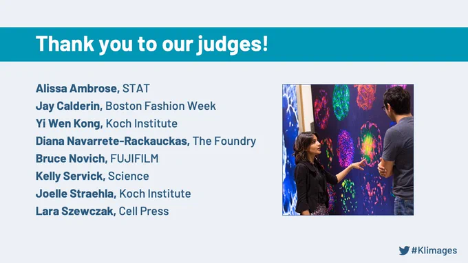 Thank you to our judges: Alissa Ambrose (STAT), Jay Calderin (Boston Fashion Week), Yi Wen Kong (Koch Institute), Diana Navarrette-Rackauckas (The Foundry), Bruce Novich (FUJIFILM), Kelly Servick (Science), Joelle Straehla (Koch Institute), Lara Szewzack (Cell Press)