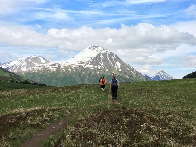 Alaska mountain range and fields