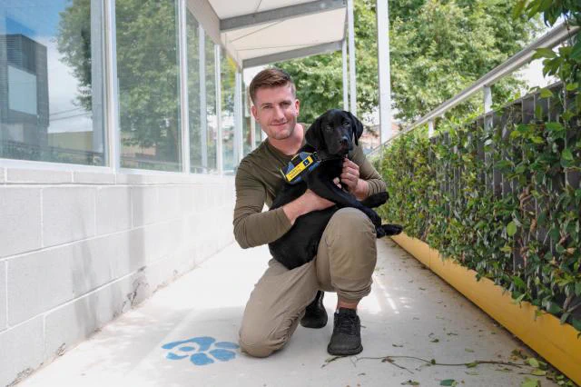 Puppy trainer Jack holding a black Seeing Eye Dogs pup in training wearing its jacket at our puppy centre.