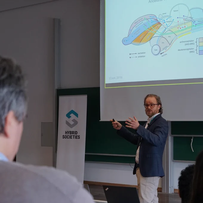 Just a glimpse into older and newer brains by Gustav Markkula