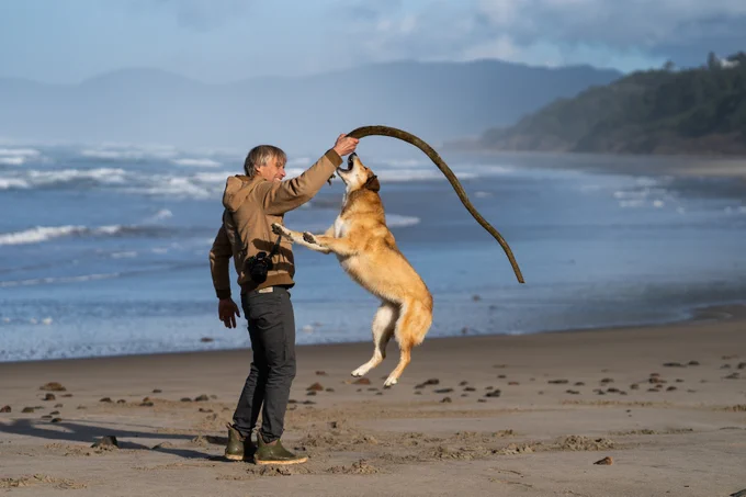 Ben Moon and his dog playing fetch with a piece of driftwood on the beach. 