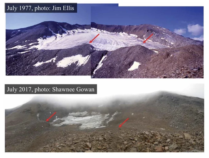 Figure 2 from "Plant succession on glacial moraines in the Arctic Brooks Range along a >125,000-year glacial chronosequence/toposequence" by Shawnee Kasanke et al, shows two photos comparing exposed glacial moraine.
 In the top photo, the Grizzly Glacier cirque was photographed  by Jim Ellis in July 1977. The bottom photo shows he same general scene photographed by  author SK (formerly S. Gowan) in July 2017. Photographs were taken from slightly different locations and distances from the glacier. Red arrows indicate moraine features for comparison of ice mass, which has decreased significantly, exposing more rock.