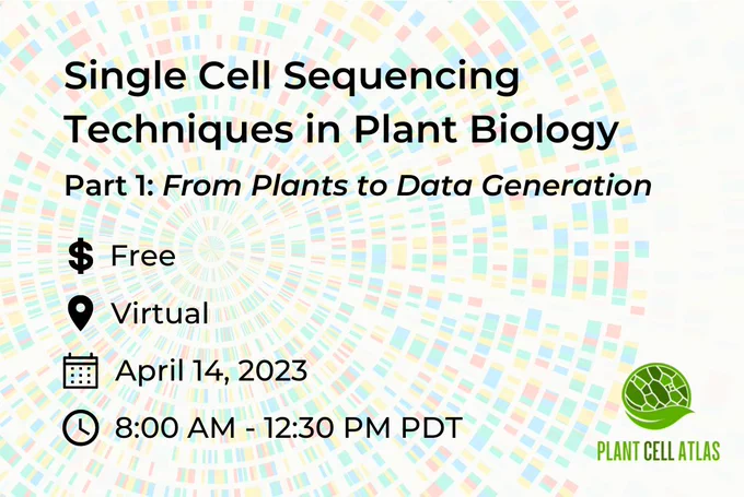 Promo for the PCA workshop on Single Cell Sequencing Techniques in Plant Biology Part 1: From plants to data generation. This is a free, virtual event taking place on April 14, 2023 from 8 AM to 12:30 PM Pacific time.