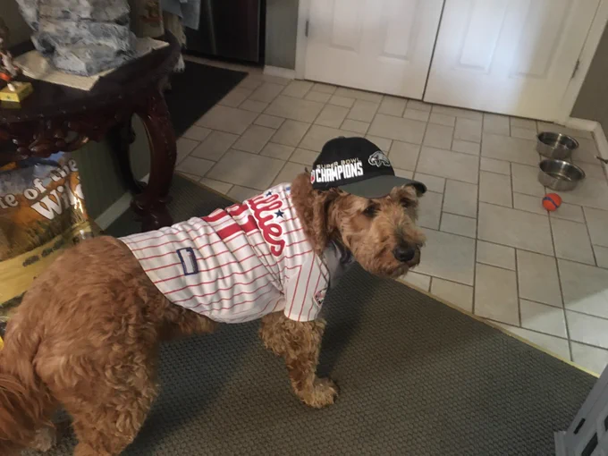 Even though today is St. Paddy's Day, Buddy is ready for tomorrow's Phillies Spring Training game. 
