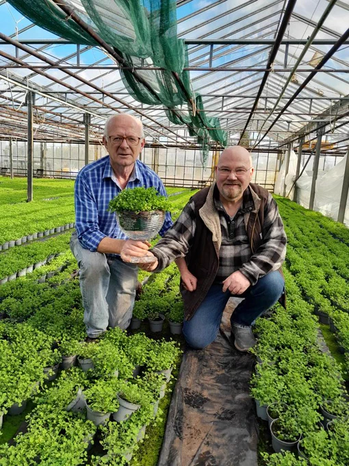 Shamrock farmer Joe Sugrue and Dingle Crystal founder Sean Daly pictured holding the shamrock bowl in a shamrock farm. 