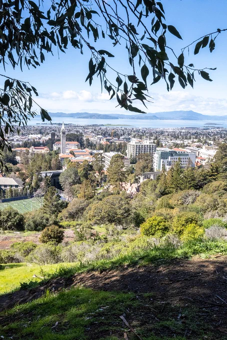 Photo taken from the Big C at the University of California, Berkeley, looking northwest down a green hill towards the campus. The Campanile is visible.