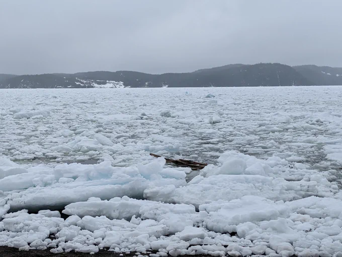 Debris caught in the ice.