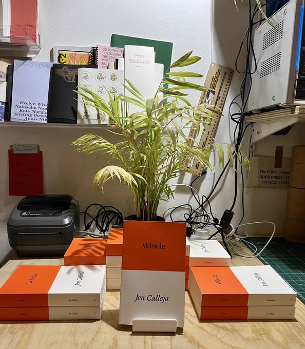 A table displaying orange and white books, a plant behind one face out standing up book makes it look like a carrot