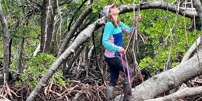 Sarah Hamylton is wearing hiking gear and climbing over an exposed tree branch, looking up at the sky, holding some hanging roots.