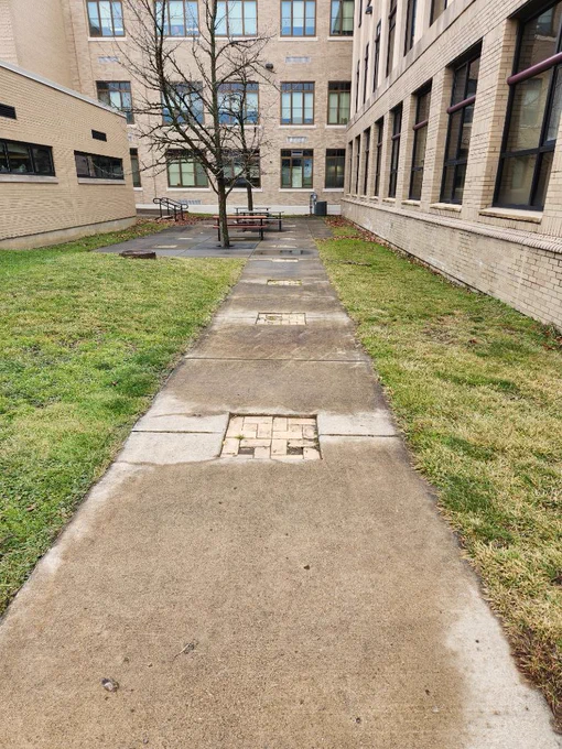 Courtyard featuring a sidewalk and green grass
