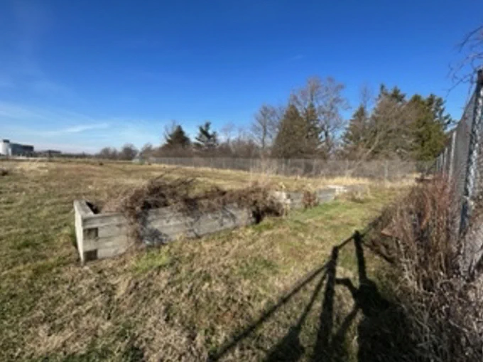 Open field featuring an overgrown raised bed garden