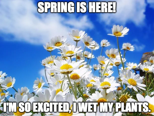 Spring is here! I'm so excited, I wet my plants.