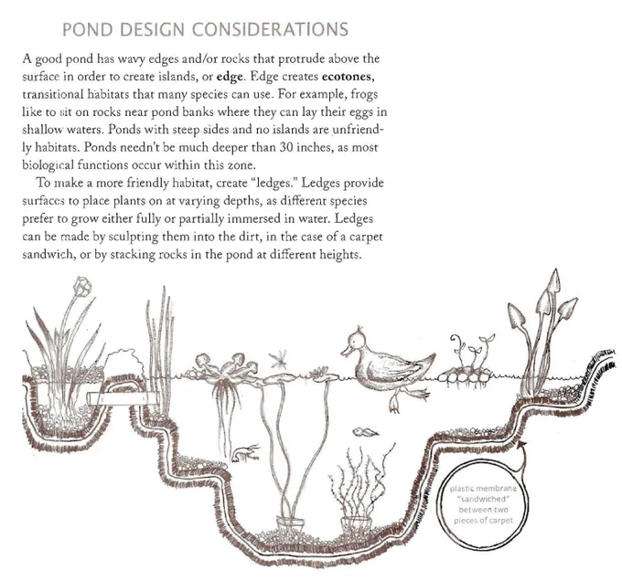 image of how to create a small pond using carpet and plastic