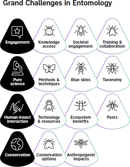 The grand challenges in entomology fall into 11 categories in 4 overarching themes
