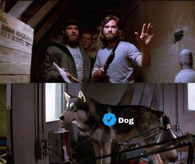 Of course it's a dog, not the Thing! It has a blue checkmark! 