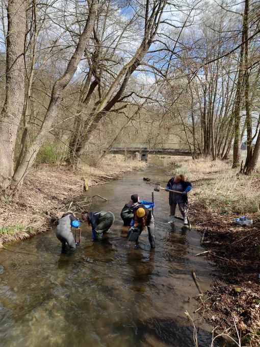 5 students are standing in a shallow creek. 2 work with a sediment drill, one with a gravel sledge, and two are hammering a metal rod into the sediment. 