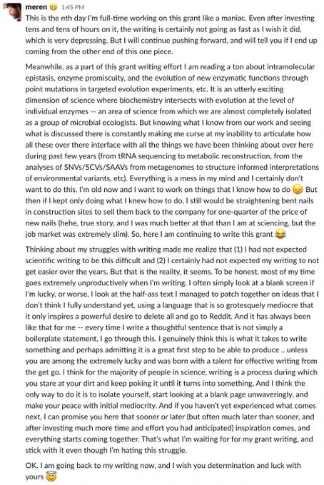 Screenshot of a very long text about a professor's struggle with scientific writing (that exceeds the character limit of alt-text descriptions).