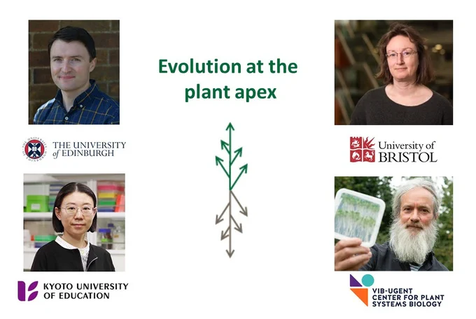 Profile headshots of Sandy Hetherington, Jill Harrison, Tom Beeckman and Rieko Fujinami - and the title of the project, Evolution at the plant apex