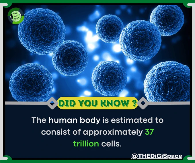 Did you know that the human body is a #marvel of biology and science? It is estimated that our bodies contain approximately 37 trillion cells, each with their own unique function and properties.

These cells work together in a complex and coordinated manner to sustain our lives and keep us healthy. This amazing fact is just a glimpse into the wonder and intricacy of the human body.