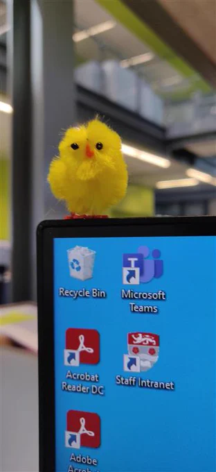 An Easter chick on top of a computer monitor