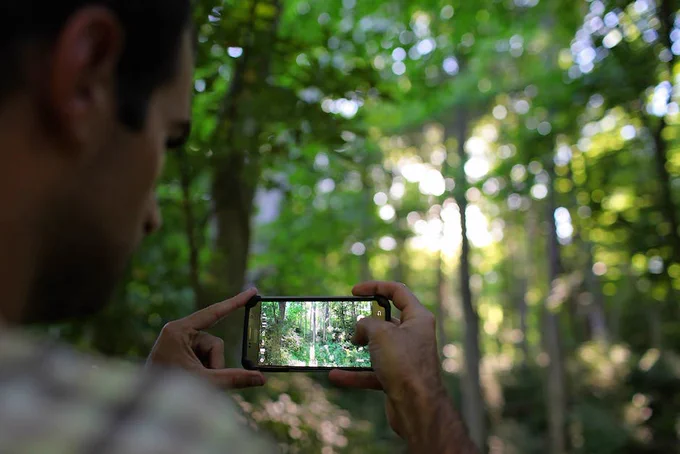 Man taking picture of trees with iphone