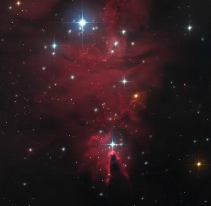 Cone Nebula
