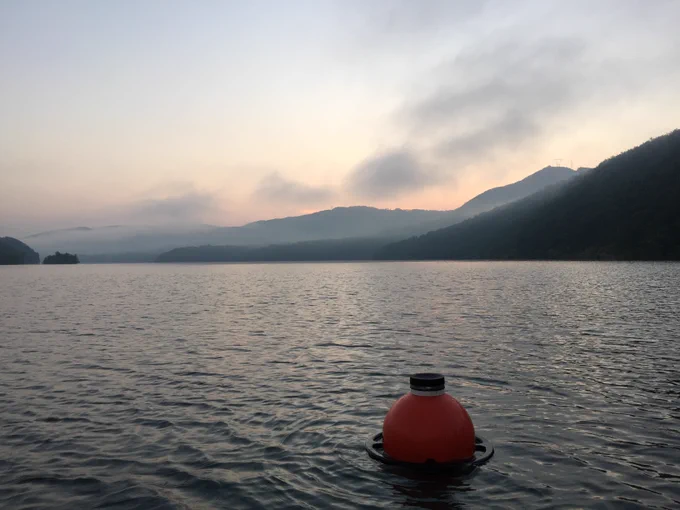 Our beautiful Carvins Cove Reservoir, Virginia! Come join us at Virginia Tech to study these gorgeous ecosystems and work with managers to improve drinking water quality.