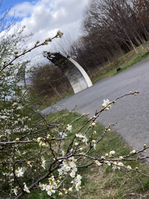 White blossom tree blooming with silver metallic sculpture in eclipse crescent shape in bacground