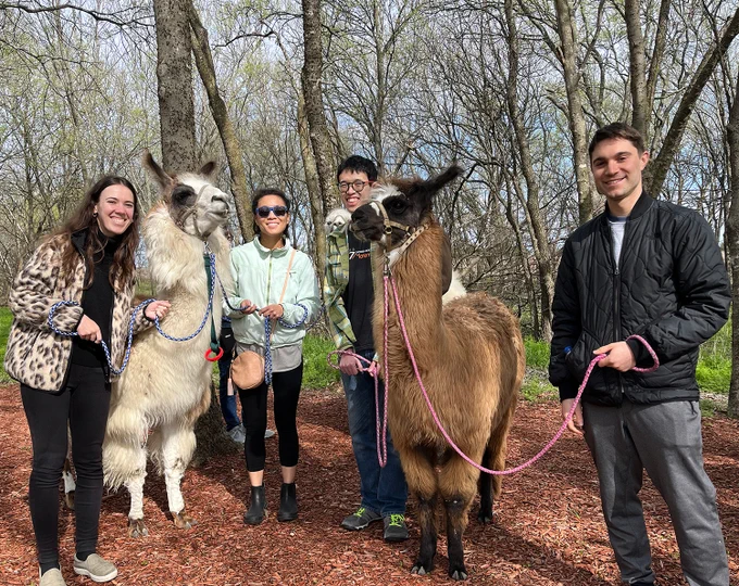 Group photo of four people smiling at the camera, with two llamas.