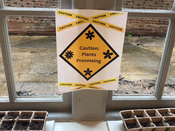 Seeds in pots with sign that reads: caution plants processing