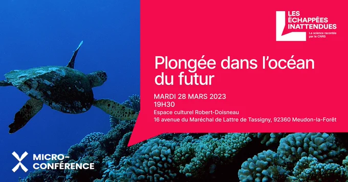 Visuel avec une tortue nageant dans les fonds marins, avec les informations de l'évènement.