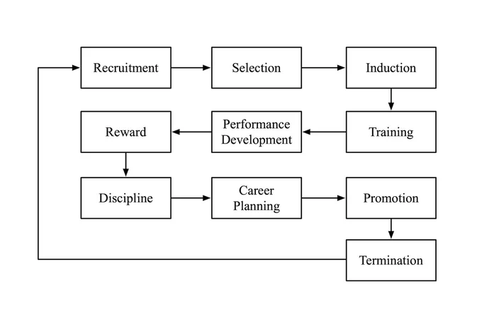 The human resource management system