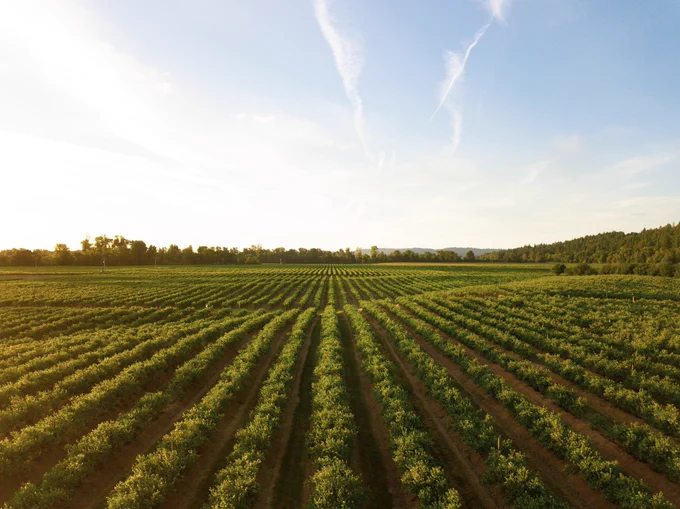 TRANSCEND Seminar: Climate change impacts on agriculture 🌻
25 April 2023 with Prof.  Anwarul Abedin from #Bangladesh Agricultural University🚜
#agriculture #climatechange challenges and #irrigation solutions 🌦️
Please register here: shorturl.at/drJ58
📸 @unsplash