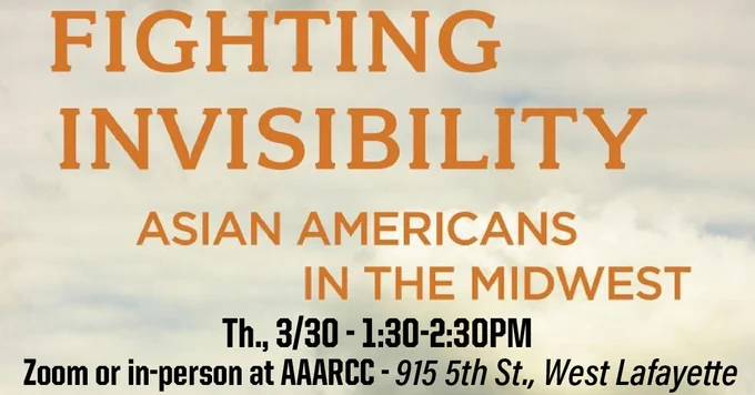 Cover of Fighting Invisibility book