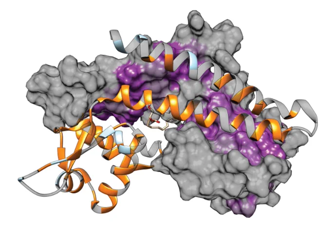 ©CC BY 4.0/Sonnenkalb, L. et al.
