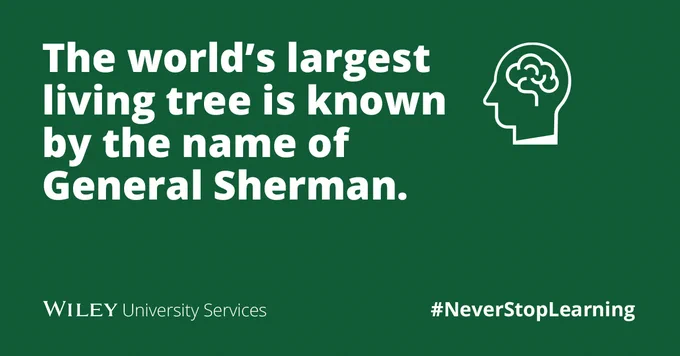 The world’s largest living tree is known by the name of General Sherman.
