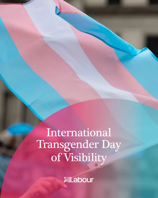 Graphic with transgender flag waving and the text: International Transgender Day of Visibility