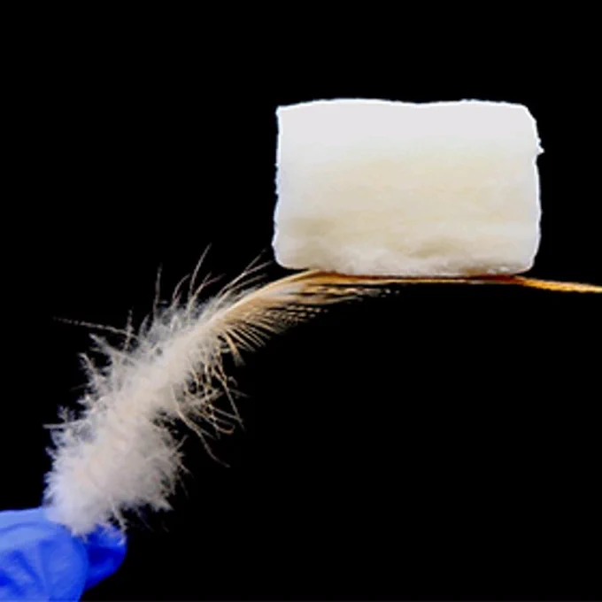 Mechanically strong ultra lightweight ceramic fibre assembly on a feather.

