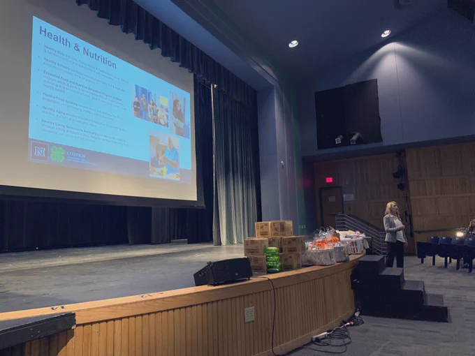 Crystal Momii presents information on Health & Nutrition programming efforts.