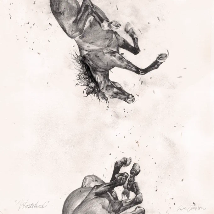 Drawings of horses falling