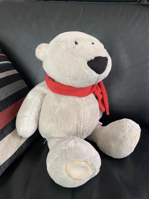 Knut, der Eisbär
