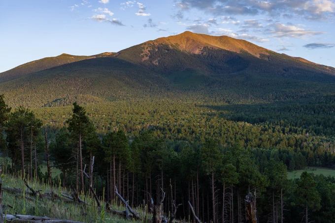 A ponderosa pine forest stretches across a mountain landscape.