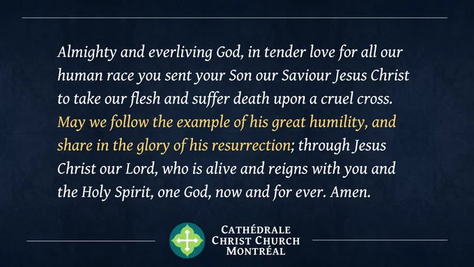 Almighty and everliving God, in tender love for all our human race you sent your Son our Saviour Jesus Christ to take our flesh and suffer death upon a cruel cross. May we follow the example of his great humility, and share in the glory of his resurrection; through Jesus Christ our Lord, who is alive and reigns with you and the Holy Spirit, one God, now and for ever. Amen.